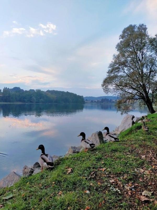 Your Place By The Lake - Near Leonardo Academy, Mxp Sesto Calende Exteriér fotografie